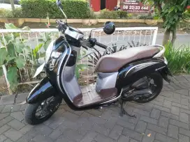 Scoopy 2018 N Kota mulus bisa TT lain