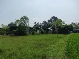 Dijual Cepat Tanah Dekat Suramadu Kelas 1 Harga Termurah