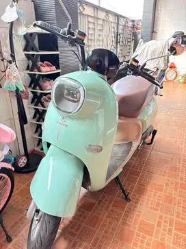 Exotic Vito 2024