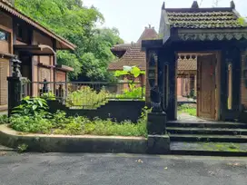 RUMAH BESAR TANAH LUAS DIJUAL SETENGAH HARGA DI MINGGIR SLEMAN