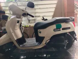Fazio putih 2022