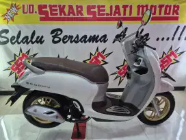 Scoopy prestige keyless 2021 READYY
