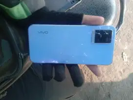 Vivo y33s 8/256