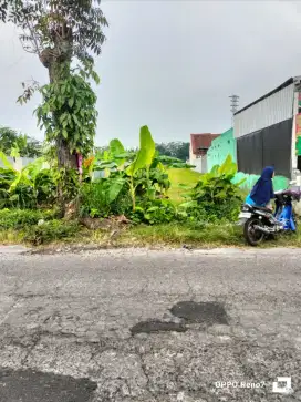 Tanah sawah mangku jalan Aspal strategis, Kalasan, Sleman