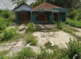dijual rumah murah di sukoharjo, 1400 meter padat penduduk