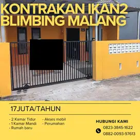 Kontrakkan Rumah jalan Ikan Blimbing Malang