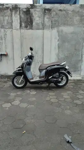 Honda scoopy 2020/2019