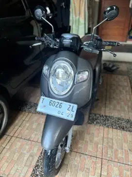 Honda scoopy 2019