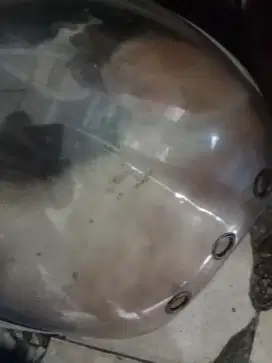 Kucing persia jantan