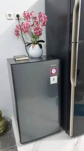 Sharp Kulkas 1 Pintu 1 Door SJN162NHS dipakai 6 bulan (Seperti baru)