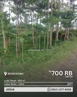Dijual Tanah Murah Akses Mudah Area Wonosobo