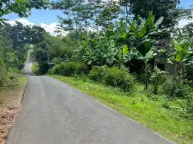 Dijual tanah murah dimojogedang karanganyar