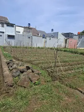 Dijual tanah kavling harga miring di Cisaranten kulon Arcamanik