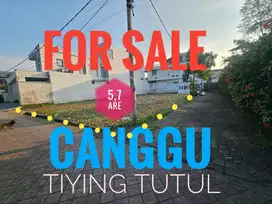 Tanah Murah  Tiying Tutul Canggu