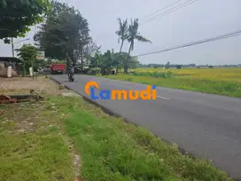 Jual Tanah di Jl. Syeh Quro Talagasari Karawang