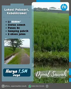 Tanah Sawah Dengan Akses Jalan mudah