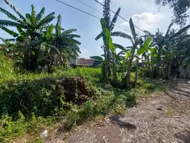 Jual Tanah Lokasi Wage Aloha ( Jl Taruna ) Taman Sidoarjo