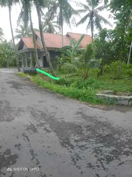 JUAL TANAH DI BUGEL PANJATAN KULONPROGO