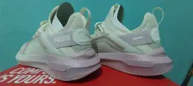 PUMA Softride Enzo 5 Metallic Wn (warm white-rose mauve)