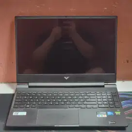 Laptop Gaming HP Victus 15 Core i5 RTX 3050 1TB Ssd NVMe