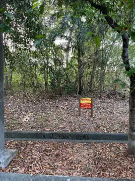 Kavling Taman Simpruk Lippo Cikarang: Luas 290 m², Hanya 4 Juta/m²