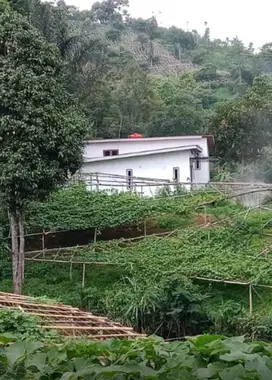 JUAL CEPAT TANAH SHM BONUS RUMAH DAN PETERNAKAN DI PASIR JAMBU CIWIDE