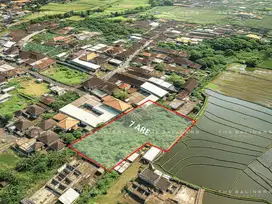 SERENE RICE FIELD VIEW LAND IN BUDUK WITH DEVELOPMENT POTENTIAL