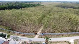 Tanah 20 Ha Tanjung Bintang