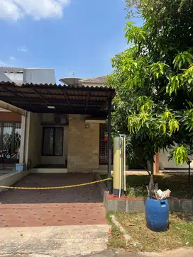Disewakan Rumah 4KT Cluster Elysium Garden Lippo Cikarang, 90 Juta/Thn
