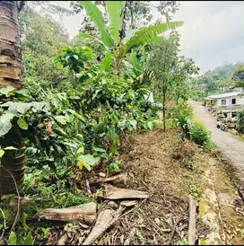 Tanah pekarangan murah kemuning ngargoyoso karanganyar
