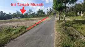 JUARA UNTUK KOST: 5 Menit Kampus UII, Tanah SHM Jogja Jakal km 14