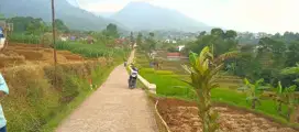 JUAL LAHAN SAWAH DI CIAPUS BANJARAN BANDUNG