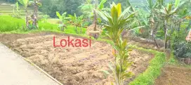 JUAL LAHAN SAWAH DI CIAPUS BANJARAN BANDUNG