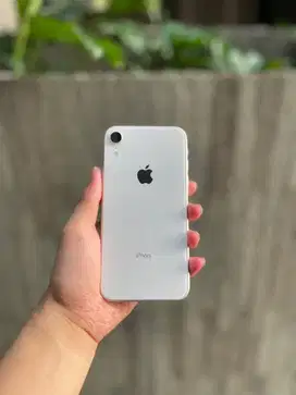 iPhone XR 64 Resmi iBox