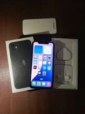 Iphone 11 64gb wifi only mulus