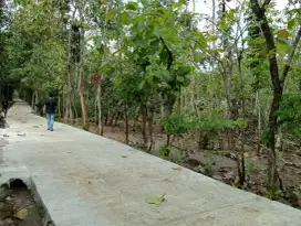 TANAH PEKARANGAN MURAH KRANGMOJO
