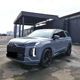 Hyundai palisade signsture 2.2 ANTIK