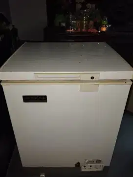 Frezer box Modena 100L
