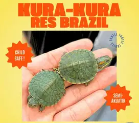 KURA KURA BRAZIL