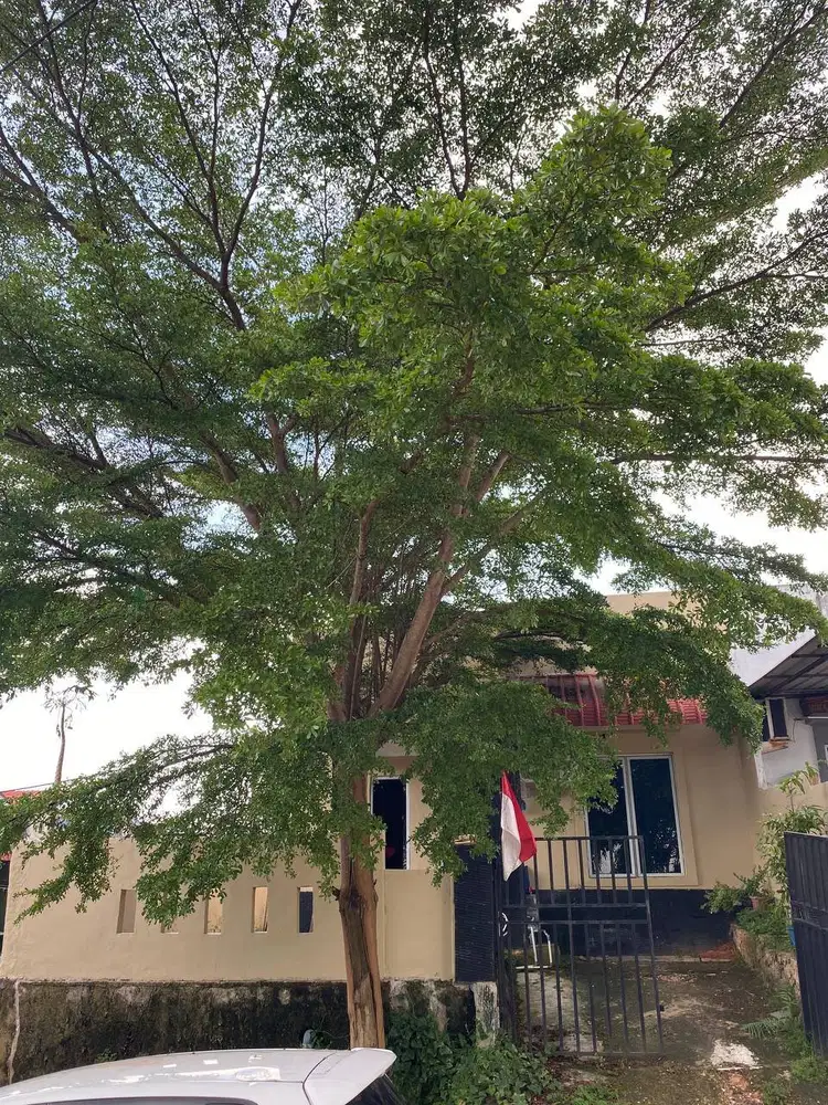 TAKEOVER RUMAH STRATEGIS BATAM CENTER