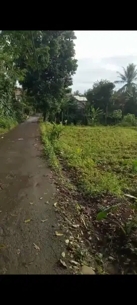 Di jual lhan tanah darat lt 2875 mtr ss SHM pinggir jln