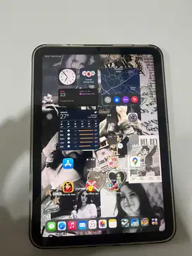 Ipad 7 mini second