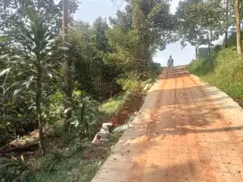 Di jual lhan tanah kebun manggis sudah produk tipe siap nunggu panen