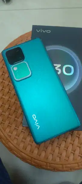 Vivo V30 5G 8/256