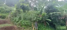 Di jual sebidang tanah perkebunan