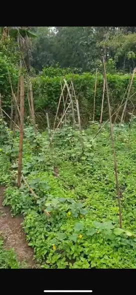 Jual Tanah daerah Margobasuki, Malang