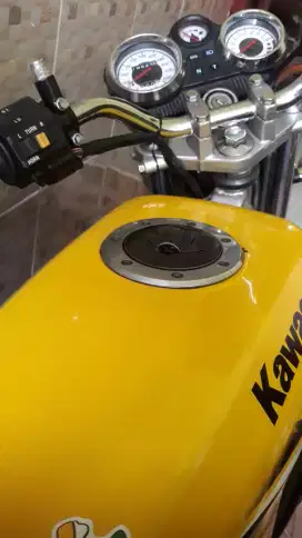 Ninja R 2013 albino