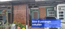 Krey, tirai bambu wulung
