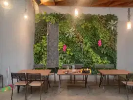 tukang taman dinding vartical