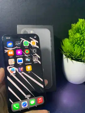 IPHONE 11 PRO INTERNAL 256GB INTER ALL OPERATOR 

TRUTUNE ON